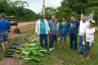 galeria: Sedap distribui mudas cítricas e de banana no Oeste do Pará