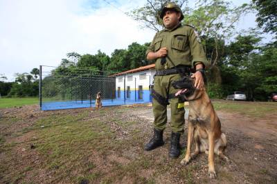 notícia: Batalhão de Polícia Rodoviária ganha reforço no combate à drogas com novo canil 