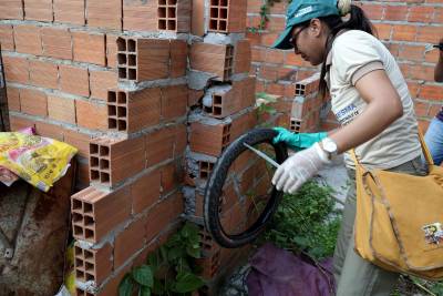 notícia: Número de doenças transmitidas pelo Aedes aegypti cai no Pará