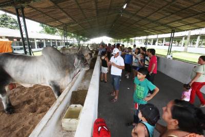 notícia: Feira de Negócios Agropecuários movimenta o agronegócio em Belém