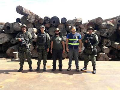 notícia: Sefa, PM e Semas apreendem mil metros cúbicos de madeira em Moju