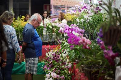 notícia: Sedap realiza mais uma feira de flores e chocolates na capital paraense