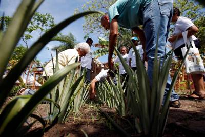notícia: Uepa promove 1ª Feira de Agricultura Familiar e Inclusão Digital
