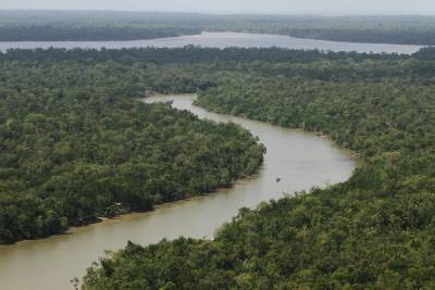 notícia: Pará registra menor taxa de desmatamento da história