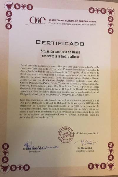 galeria: Pará recebe certificado mundial de área livre de febre aftosa