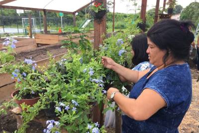 galeria: Equipamentos de jardinagem são doados para comunidade do entorno do Parque do Utinga