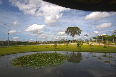 galeria: Parque do Utinga é laboratório para a biodiversidade Amazônica
