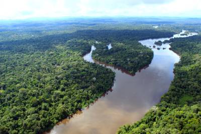 notícia: Ideflor-Bio discute com extrativistas desenvolvimento sustentável na Floresta Estadual do Paru