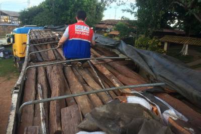 notícia: Sefa apreende estacas de acapu em Marabá