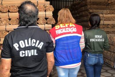 notícia: Sefa, Polícia Civil e Semas apreendem mais de dois milhões de cabos de vassoura  