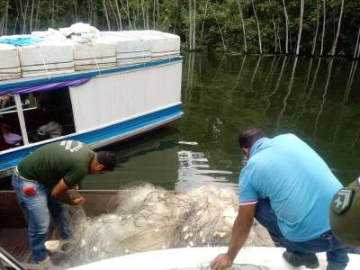 galeria: Operação Limpa Lago apreende equipamentos de pesca predatória