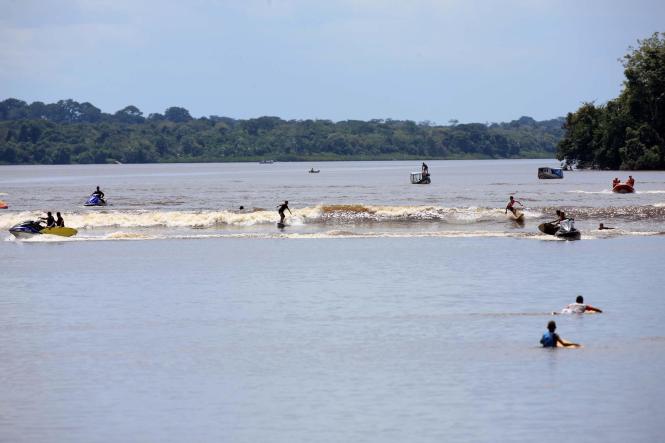 O município de São Domingos do Capim, no nordeste do Pará, sedia, nos próximos dias, a 19ª edição do tradicional Festival da Pororoca. A expectativa é que circulem de 15 a 20 mil pessoas na cidade diariamente durante o evento, considerado um dos principais do Estado na área esportiva e cultural, responsável por movimentar a região e incentivar o turismo ecológico paraense. A programação inicia na sexta-feira (20), e segue até o dia 24 de março.

FOTO: ARQUIVO / AGÊNCIA PARÁ
DATA: 20.03.2019
BELÉM - PA <div class='credito_fotos'>Foto: ARQUIVO / AG. PARÁ   |   <a href='/midias/2019/originais/136c250f-0bf1-4c74-aa76-3b6751c98249.jpg' download><i class='fa-solid fa-download'></i> Download</a></div>