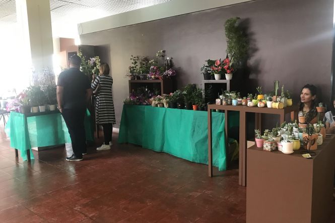 A possibilidade de conhecer e comprar chocolates, flores e joias atraíram muitos visitantes ao Espaço São José Liberto durante os dias 10 e 11 deste mês durante a primeira edição do Mini Festival de Chocolate.

FOTO: DIVULGAÇÃO / IGAMA
DATA: 13.05.2019
BELÉM - PARÁ <div class='credito_fotos'>Foto: IGAMA/ Divulgação   |   <a href='/midias/2019/originais/256501bd-d0ff-42a4-b262-af85de96e438.jpg' download><i class='fa-solid fa-download'></i> Download</a></div>