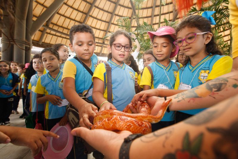 Estimular a conscientização ambiental vai muito além de promover um dia festivo no Dia Mundial do Meio Ambiente, instituído pela Organização das Nações Unidas (ONU) no dia 5 de junho de 1972, durante a Conferência das Nações Unidas sobre o Meio Ambiente Humano, em Estocolmo (Suécia). Mais do que a comemoração, é fundamental desenvolver políticas públicas comprometidas com a preservação ambiental.

FOTO: FERNANDO ARAÚJO / AGÊNCIA PARÁ
DATA: 06.06.2019
BELÉM - PARÁ <div class='credito_fotos'>Foto: Fernando Araújo / agência Pará   |   <a href='/midias/2019/originais/2626_criancanasemanadomeioambiente4.jpg' download><i class='fa-solid fa-download'></i> Download</a></div>