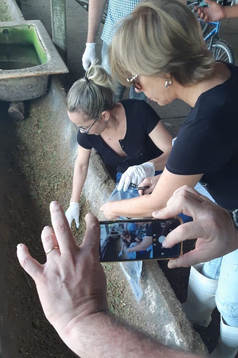 A coordenadora do Programa Estadual da Raiva dos Herbívoros, Arlinéa Rodrigues, junto com Ingrid Toda, ambas veterinárias e servidoras da Agência de Defesa Agropecuária do Pará (Adepará), realizaram visita técnica à Agência de Defesa Agropecuária da Bahia (Adab), entre os dias 10 e 14 de junho. 

FOTO: ASCOM ADEPARÁ
DATA: 19.06.2019
BAHIA - BA <div class='credito_fotos'>Foto: ASCOM ADEPARÁ   |   <a href='/midias/2019/originais/2751_nvestigacaodealimentosemcocho.jpg' download><i class='fa-solid fa-download'></i> Download</a></div>