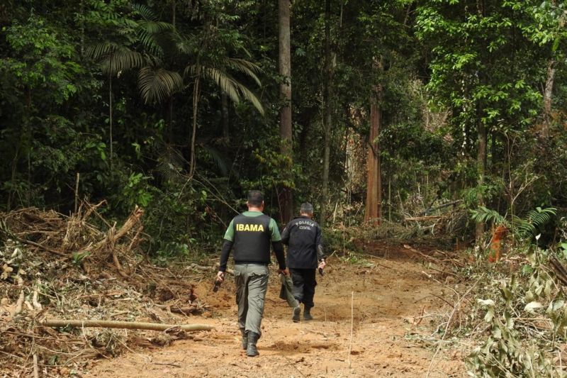 A Polícia Civil do Pará deflagrou, na madrugada de terça-feira (17), operação "Madeira de Lei", resultando nas prisões em flagrante de nove acusados. A empresa teve suas atividades paralisadas, para a medição de toda a madeira ilegal adquirida. A operação ocorreu na área de mata localizada na zona rural do município de Abel Figueiredo e em Rondon do Pará. <div class='credito_fotos'>Foto: ASCOM / POLÍCIA CÍVIL   |   <a href='/midias/2019/originais/2756_foto1.jpg' download><i class='fa-solid fa-download'></i> Download</a></div>