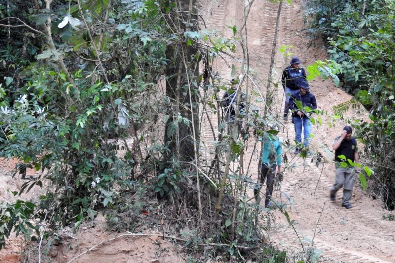 A Polícia Civil do Pará deflagrou, na madrugada de terça-feira (17), operação "Madeira de Lei", resultando nas prisões em flagrante de nove acusados. A empresa teve suas atividades paralisadas, para a medição de toda a madeira ilegal adquirida. A operação ocorreu na área de mata localizada na zona rural do município de Abel Figueiredo e em Rondon do Pará. <div class='credito_fotos'>Foto: ASCOM / POLÍCIA CÍVIL   |   <a href='/midias/2019/originais/2756_foto5.jpg' download><i class='fa-solid fa-download'></i> Download</a></div>