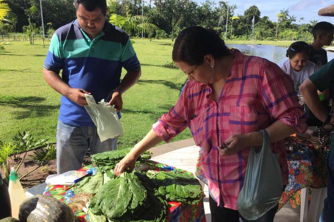 Devido a grande demanda de agricultores e também as condições climáticas de Belém, a Feira do Agricultor do projeto AgroVárzea foi ampliada e precisou mudar de lugar. Agora ela acontecerá no Centro de Acolhimento do Parque Estadual do Utinga, o dia e o horário foram mantidos: acontece nesta quinta-feira (7), a partir das 8h.

FOTO: ASCOM IDEFLOR-BIO
DATA: 06.02.2019
BELÉM - PARÁ <div class='credito_fotos'>Foto: Ascom Ideflor-Bio   |   <a href='/midias/2019/originais/3439cc8e-b5da-4587-b1ad-41828c47518f.jpg' download><i class='fa-solid fa-download'></i> Download</a></div>