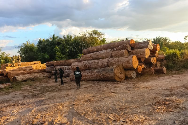O Governo do Pará vem intensificando o combate ao desmatamento ilegal. Nos últimos cinco dias, equipes da Secretaria de Estado de Meio Ambiente e Sustentabilidade (Semas), em parceria com o Batalhão de Polícia Ambiental (BPA), da Polícia Militar, percorreram 620 quilômetros em cinco municípios. A força-tarefa seguiu de Moju a Tailândia, no sudeste, e de Altamira a Senador José Porfírio, terminando em Anapu, no oeste. <div class='credito_fotos'>Foto: Ronan Frias / Semas   |   <a href='/midias/2019/originais/5289_img_6036.jpg' download><i class='fa-solid fa-download'></i> Download</a></div>