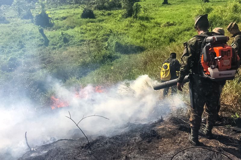 O 9º Grupamento de Bombeiros Militar (9º GBM), sediado em Altamira (PA), ministrou uma "Capacitação em Prevenção e Combate a Incêndio Florestal" a militares do 51º Batalhão de Infantaria de Selva (51º BIS). O treinamento ocorreu neste domingo. 

FOTO: DIVULGAÇÃO / ASCOM EXÉRCITO <div class='credito_fotos'>Foto: Divulgação   |   <a href='/midias/2019/originais/5345_img-20190825-wa0300-2.jpg' download><i class='fa-solid fa-download'></i> Download</a></div>