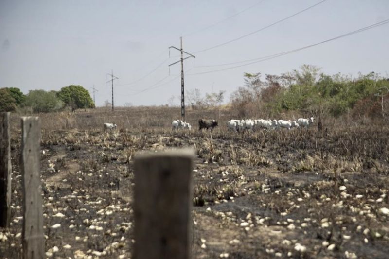 Desde segunda-feira (25), um centro de operações foi instalado no Comando Militar do Norte para planejar, executar e monitorar as ações empregadas, a fim de conter e evitar novos focos de incêndio e desmatamentos ilegais. Ao todo, cerca de 46 militares do 52º BIS, estão em São Félix do Xingu para integrar a operação. <div class='credito_fotos'>Foto: KLEBERSON SANTOS / AG. PARÁ   |   <a href='/midias/2019/originais/5360_whatsappimage2019-08-28at11.54.2421.jpg' download><i class='fa-solid fa-download'></i> Download</a></div>