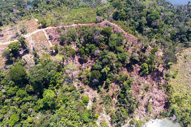 Mais de 2.300 metros de malhadeiras irregulares, arpões, armadilhas para pássaros, armas de fogo, motosserras, gaiolas e outros apetrechos utilizados na prática de crimes  ambientais, como pesca predatória, desmatamento e caça, foram apreendidos na região do Mosaico Lago de Tucuruí, no sudeste paraense.  <div class='credito_fotos'>Foto: ASCOM / IDEFLOR-BIO   |   <a href='/midias/2019/originais/5398_mosaicodetucurui1.jpg' download><i class='fa-solid fa-download'></i> Download</a></div>