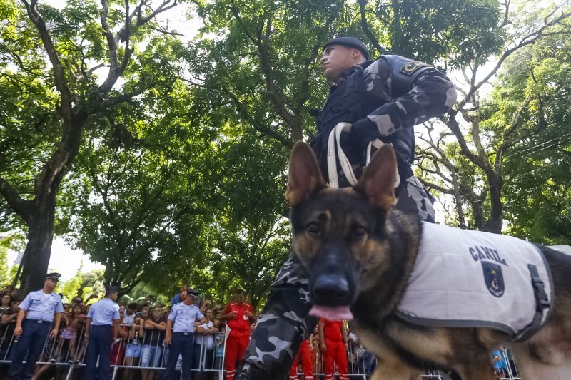 A abertura do desfile foi realizada pelo pelotão de 30 alunos de escolas estaduais e 20 atletas do Núcleo de Esporte e Lazer (NEL) da modalidade de ginástica rítmica e por atletas paralímpicos e olímpicos da Secretaria de Estado de Educação (Seduc). O grupo fez a entrega da Tocha da Paz ao general Paulo Sérgio Nogueira, do Comando Militar do Norte. O instrumento simbólico representa o esforço coletivo para alimentar e intensificar a nacionalidade; o repúdio às drogas, à discriminação e a todo tipo de violência.  <div class='credito_fotos'>Foto: Marcelo Seabra / Ag. Pará   |   <a href='/midias/2019/originais/5414_20190907104511__mg_3925.jpg' download><i class='fa-solid fa-download'></i> Download</a></div>