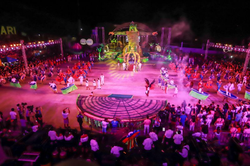 Festival do Botos Cor-de-Rosa e Tucuxi