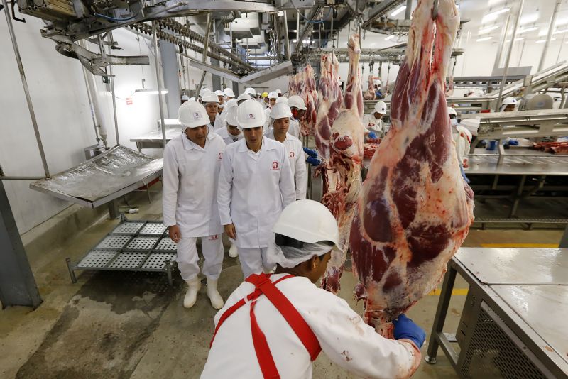 A economia do município de São Geraldo do Araguaia, no sudeste paraense, gira em torno da agropecuária, com destaque para a pecuária de corte. <div class='credito_fotos'>Foto: Marcelo Seabra / Ag. Pará   |   <a href='/midias/2019/originais/5525_ed0f1828-00ff-6007-ba15-0ff848d28a36.jpg' download><i class='fa-solid fa-download'></i> Download</a></div>