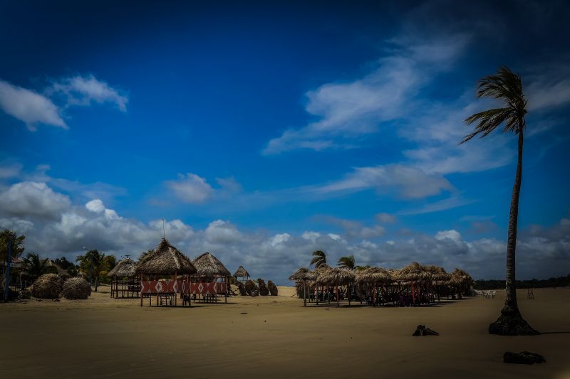 Um paraíso dentro Amazônia. É assim que os turistas que conhecem o arquipélago do Marajó definem a beleza da maior ilha fluviomarítima do mundo, que abriga em seu território 16 municípios. A natureza preservada chama a atenção e encanta os visitantes. <div class='credito_fotos'>Foto: JADER PAES / AG. PARÁ   |   <a href='/midias/2019/originais/5583_6f0cb9db-27bc-ec72-f440-d0e428b87751.jpg' download><i class='fa-solid fa-download'></i> Download</a></div>