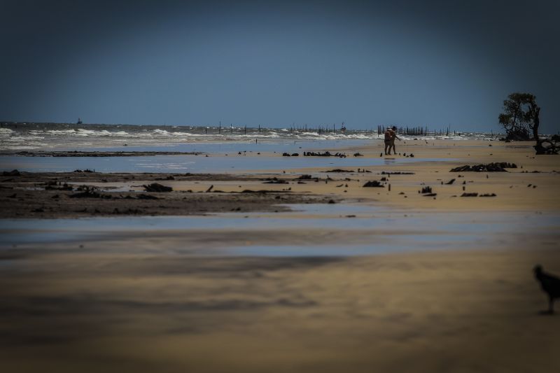 Um paraíso dentro Amazônia. É assim que os turistas que conhecem o arquipélago do Marajó definem a beleza da maior ilha fluviomarítima do mundo, que abriga em seu território 16 municípios. A natureza preservada chama a atenção e encanta os visitantes. <div class='credito_fotos'>Foto: JADER PAES / AG. PARÁ   |   <a href='/midias/2019/originais/5583_fb2ee97a-d2cf-2ced-6f50-b5cc28ae7e7c.jpg' download><i class='fa-solid fa-download'></i> Download</a></div>