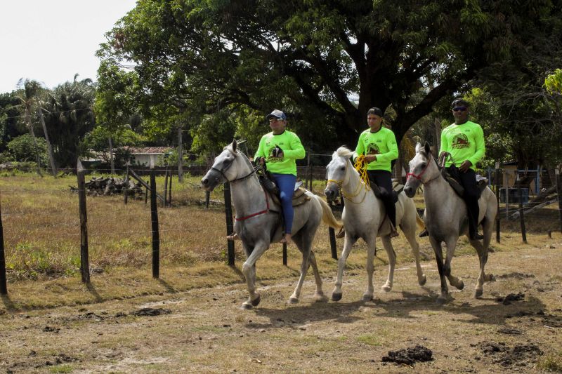 3° Festival do Cavalo Marajoara, que aconteceu neste sábado (26), no município de Soure, no Marajó <div class='credito_fotos'>Foto: ASCOM SEEL   |   <a href='/midias/2019/originais/5606_2d86fd10-eaa2-2ad7-b870-f6c559a2f4fd.jpg' download><i class='fa-solid fa-download'></i> Download</a></div>