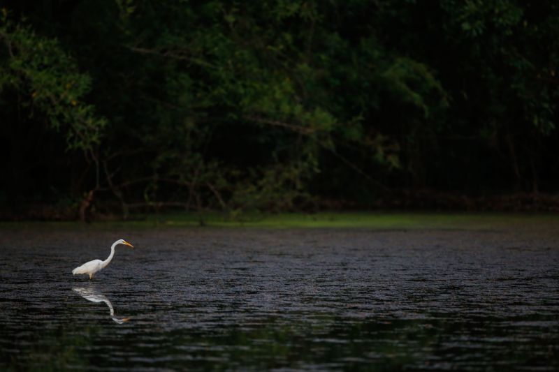 Novos horizontes são apontados para o futuro do turismo no Marajó. <div class='credito_fotos'>Foto: Marcelo Seabra / Ag. Pará   |   <a href='/midias/2019/originais/5609_ab15481d-6d8e-e3b8-647a-23412667cf8e.jpg' download><i class='fa-solid fa-download'></i> Download</a></div>