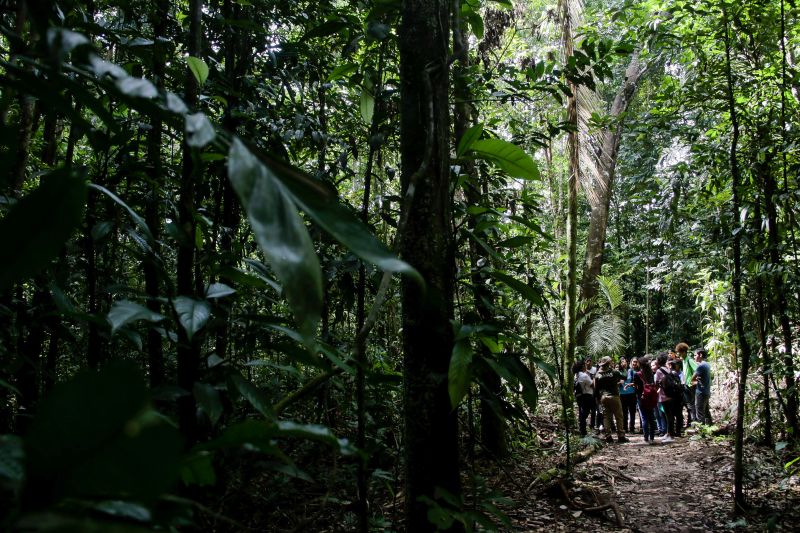  <div class='credito_fotos'>Foto: Pedro Guerreiro / Ag. Pará   |   <a href='/midias/2019/originais/5629_6c218d3f-747d-3ab0-5d05-d7537fb83580.jpg' download><i class='fa-solid fa-download'></i> Download</a></div>