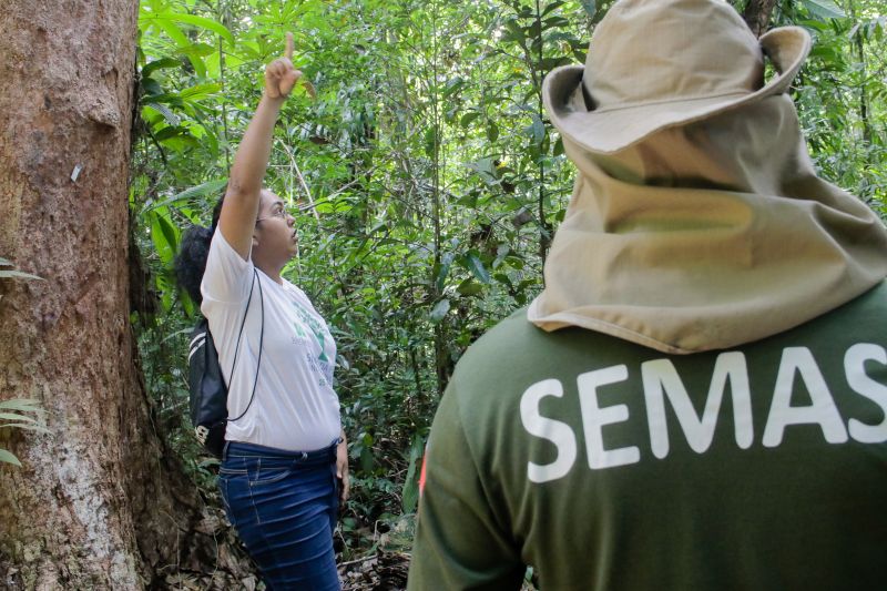  <div class='credito_fotos'>Foto: Pedro Guerreiro / Ag. Pará   |   <a href='/midias/2019/originais/5629_e9329242-0bb0-a0a8-5a9e-5c2fd3c57087.jpg' download><i class='fa-solid fa-download'></i> Download</a></div>