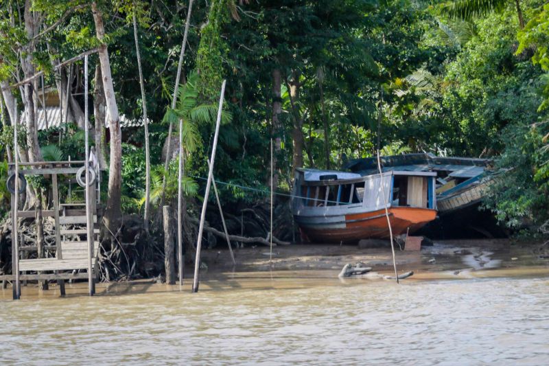 Navegando pelas águas do Rio Guamá, exatos 30 quilômetros separam a capital paraense da comunidade ribeirinha do Santo Amaro, onde vivem 12 famílias. No local, a natureza reserva aos visitantes um cenário exuberante, formado pelos encantos da fauna e flora da região. <div class='credito_fotos'>Foto: Pedro Guerreiro / Ag. Pará   |   <a href='/midias/2019/originais/5640_25bcaabc-e116-0d05-5481-57110b5466ce.jpg' download><i class='fa-solid fa-download'></i> Download</a></div>