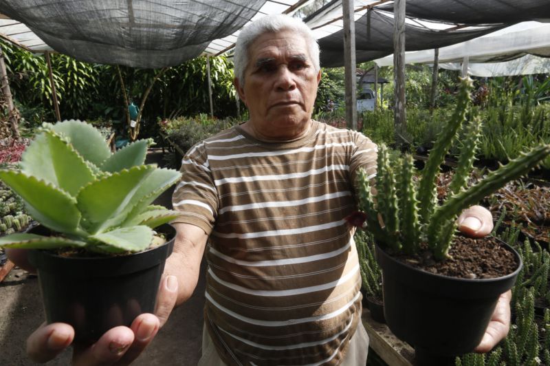 Avenida Camilo Pinto entregue a população de Benevides beneficia população. No ramo da floricultura, por exemplo, a nova PA404 proporciona mais eficiencia e qualidade aos produtores e consumidores.
Na foto: Floricultor Carlos Alberto Oliveira <div class='credito_fotos'>Foto: Marcelo Seabra / Ag. Pará   |   <a href='/midias/2019/originais/5648_fbe0c761-c3e3-a7af-8c87-7fac32135840.jpg' download><i class='fa-solid fa-download'></i> Download</a></div>