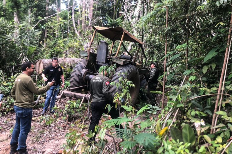 Tratores foram apreendidos e acampamentos clandestinos foram destruídos durante uma força-tarefa de combate ao desmatamento ilegal realizada pelo governo do Estado, por meio da Secretaria de Estado de Meio Ambiente e Sustentabilidade (Semas), Batalhão de Polícia Ambiental (BPA) da Polícia Militar e Delegacia de Meio Ambiente (Dema) da Polícia Civil. A operação começou na semana passada e ainda está em andamento na zona rural do município de Ipixuna do Pará, no nordeste do Estado. <div class='credito_fotos'>Foto: ASCOM / SEMAS   |   <a href='/midias/2019/originais/5791_58021ee3-02b4-d1a2-8d80-dd37c0115884.jpg' download><i class='fa-solid fa-download'></i> Download</a></div>