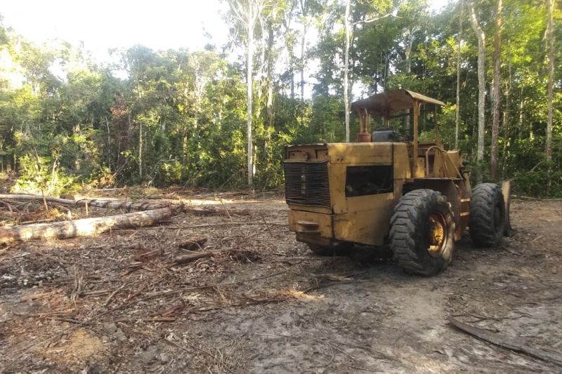 Tratores foram apreendidos e acampamentos clandestinos foram destruídos durante uma força-tarefa de combate ao desmatamento ilegal realizada pelo governo do Estado, por meio da Secretaria de Estado de Meio Ambiente e Sustentabilidade (Semas), Batalhão de Polícia Ambiental (BPA) da Polícia Militar e Delegacia de Meio Ambiente (Dema) da Polícia Civil. A operação começou na semana passada e ainda está em andamento na zona rural do município de Ipixuna do Pará, no nordeste do Estado. <div class='credito_fotos'>Foto: ASCOM / SEMAS   |   <a href='/midias/2019/originais/5791_614ec3b4-9442-c256-a7a7-3c080af6e2c8.jpg' download><i class='fa-solid fa-download'></i> Download</a></div>