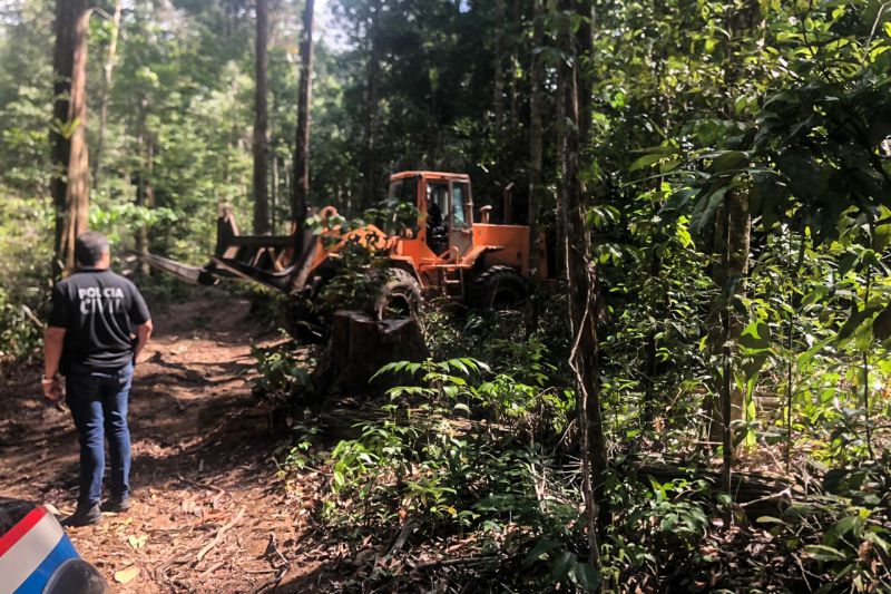 Tratores foram apreendidos e acampamentos clandestinos foram destruídos durante uma força-tarefa de combate ao desmatamento ilegal realizada pelo governo do Estado, por meio da Secretaria de Estado de Meio Ambiente e Sustentabilidade (Semas), Batalhão de Polícia Ambiental (BPA) da Polícia Militar e Delegacia de Meio Ambiente (Dema) da Polícia Civil. A operação começou na semana passada e ainda está em andamento na zona rural do município de Ipixuna do Pará, no nordeste do Estado. <div class='credito_fotos'>Foto: ASCOM / SEMAS   |   <a href='/midias/2019/originais/5791_77a4a798-60ee-a8fc-cfae-9747c71cc864.jpg' download><i class='fa-solid fa-download'></i> Download</a></div>