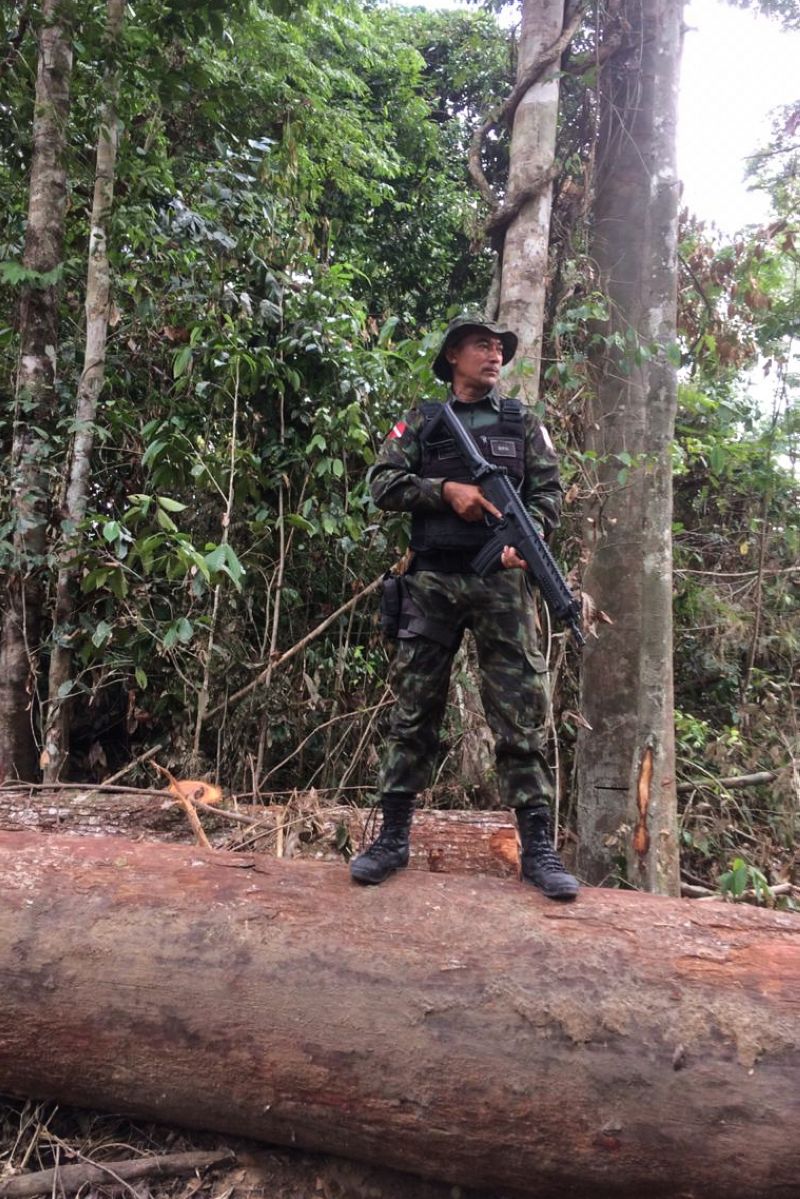 Tratores foram apreendidos e acampamentos clandestinos foram destruídos durante uma força-tarefa de combate ao desmatamento ilegal realizada pelo governo do Estado, por meio da Secretaria de Estado de Meio Ambiente e Sustentabilidade (Semas), Batalhão de Polícia Ambiental (BPA) da Polícia Militar e Delegacia de Meio Ambiente (Dema) da Polícia Civil. A operação começou na semana passada e ainda está em andamento na zona rural do município de Ipixuna do Pará, no nordeste do Estado. <div class='credito_fotos'>Foto: ASCOM / SEMAS   |   <a href='/midias/2019/originais/5791_8a64733c-5ef5-5115-8afe-3ad6c0799295.jpg' download><i class='fa-solid fa-download'></i> Download</a></div>