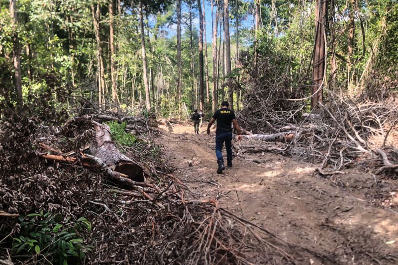 Tratores foram apreendidos e acampamentos clandestinos foram destruídos durante uma força-tarefa de combate ao desmatamento ilegal realizada pelo governo do Estado, por meio da Secretaria de Estado de Meio Ambiente e Sustentabilidade (Semas), Batalhão de Polícia Ambiental (BPA) da Polícia Militar e Delegacia de Meio Ambiente (Dema) da Polícia Civil. A operação começou na semana passada e ainda está em andamento na zona rural do município de Ipixuna do Pará, no nordeste do Estado. <div class='credito_fotos'>Foto: ASCOM / SEMAS   |   <a href='/midias/2019/originais/5791_e7cec36e-b069-6f88-52d2-c1b19ebf6f6b.jpg' download><i class='fa-solid fa-download'></i> Download</a></div>