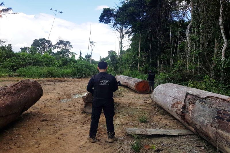 A Diretoria Estadual de Combate à Corrupção (Decor), por meio da Divisão de Repressão à Lavagem de Dinheiro (DRLD), deflagrou mais uma fase da Operação Alpes Tour, em Novo Progresso, sudoeste do Pará, para combater um esquema de lavagem de dinheiro cometido em empresas da cidade e que tem, como "pano de fundo", o tráfico de drogas. As informações foram divulgadas nesta sexta-feira (31).  

FOTO: ASCOM / POLÍCIA CIVIL
DATA: 31.05.2019
NOVO PROGRESSO - PARÁ <div class='credito_fotos'>Foto: Ascom / Polícia Civil   |   <a href='/midias/2019/originais/986a7954-a4e8-4a2d-a63b-40494d2fa884.jpg' download><i class='fa-solid fa-download'></i> Download</a></div>