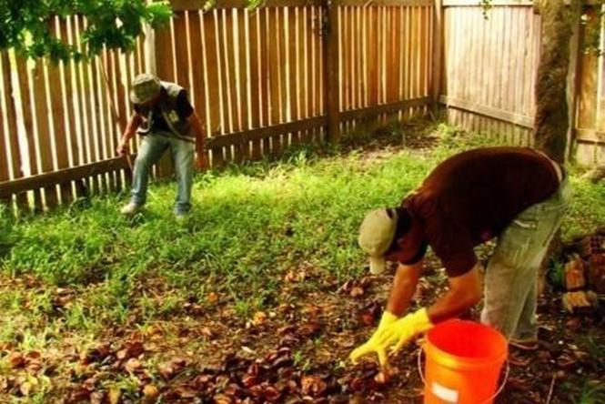 Manter a fronteira paraense aberta para a exportação de frutas. Esse é um dos principais desafios da Agência de Defesa Agropecuária do Pará (Adepará) no próximo mês. Atual diretor-geral do órgão, o engenheiro agrônomo Lucivaldo Moreira Lima, corre contra o tempo para garantir o estado como área livre da mosca da carambola até o próximo dia 31 de março.

FOTO: ASCOM / ADEPARÁ
DATA: 21.02.2019
BELÉM - PA <div class='credito_fotos'>Foto: ASCOM/ ADEPARÁ   |   <a href='/midias/2019/originais/a879062c-8f10-4856-91c0-a450bee356aa.jpg' download><i class='fa-solid fa-download'></i> Download</a></div>