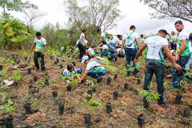 44 meninos e meninas de 10 a 15 anos das escolas municipais Maria do Carmo e Paulo Freire participaram hoje (22) de atividades de conscientização ambiental no Parque Estadual do Utinga, na Região Metropolitana de Belém. O evento foi promovido pelo Instituto Amigos da Floresta Amazônica (ASFLORA), em parceria com o Instituto de Desenvolvimento Florestal e da Biodiversidade (Ideflor-bio), que contou também com o patrocínio da empresa Mitsubishi Corporation.

FOTO: ASCOM / IDEFLOR
DATA: 22.02.2019
BELÉM - PA <div class='credito_fotos'>Foto: ASCOM / IDEFLOR   |   <a href='/midias/2019/originais/b0c8879b-ee68-4cfb-9ebf-18a72445d532.jpg' download><i class='fa-solid fa-download'></i> Download</a></div>