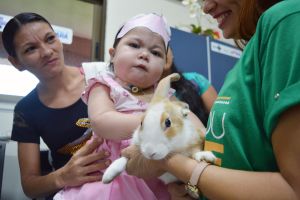 notícia: Hospital de Santarém promove reabilitação de pacientes com auxílio de animais