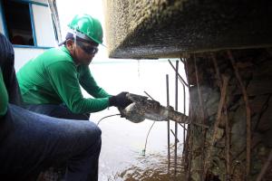 galeria: Setran faz manutenção preventiva na ponte Rio Guamá, da Alça Viária
