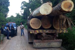 notícia: Polícia Civil apreende mais de 600 toras de madeira durante operação 