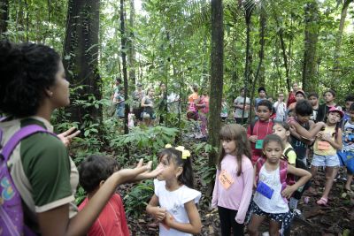 galeria: Colônia de Férias do Parque do Utinga aproxima crianças da natureza