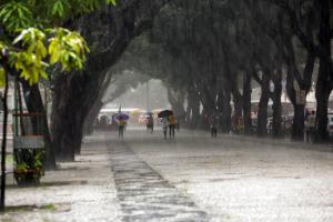 notícia: Previsão do tempo para fevereiro indica manutenção das chuvas no Pará